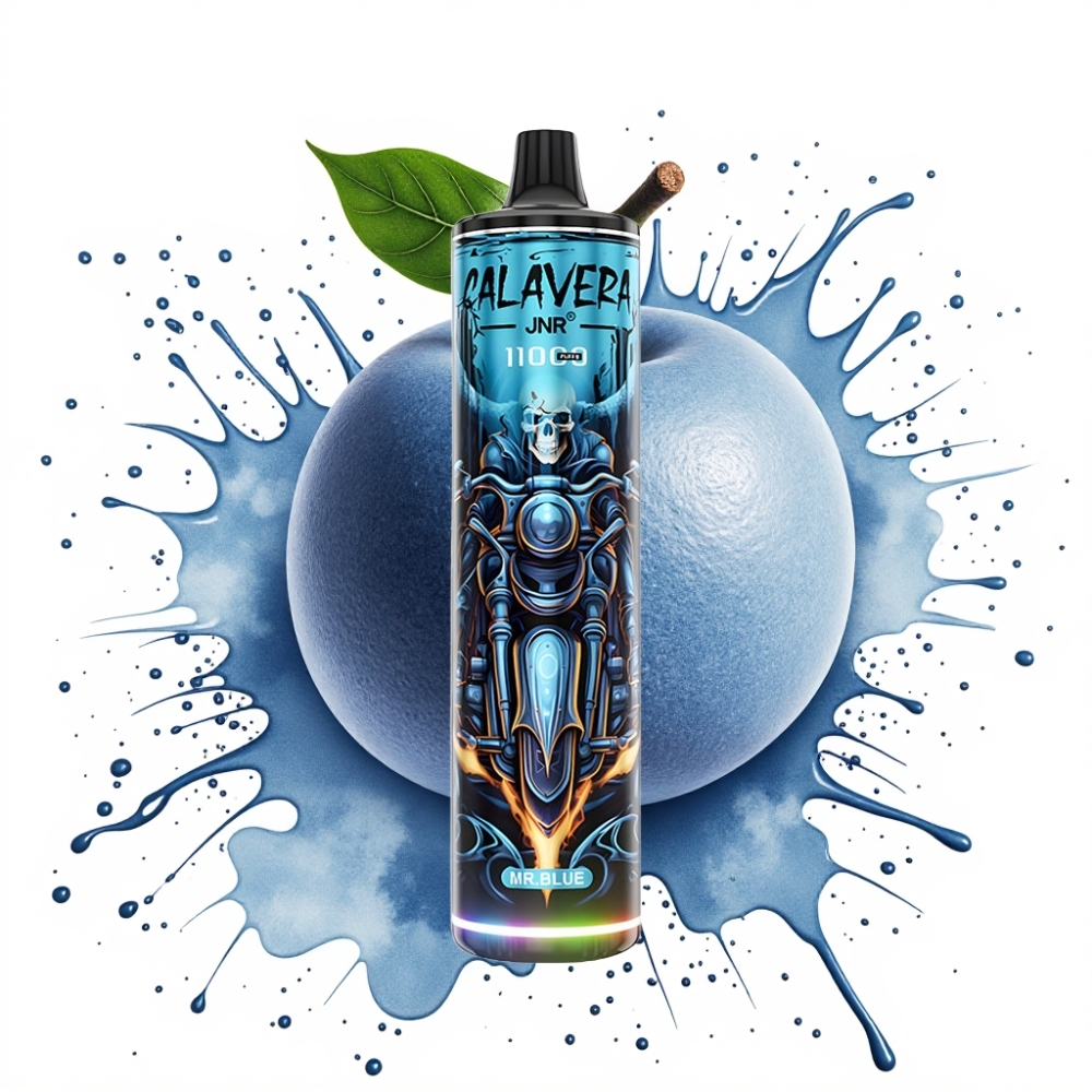 JNR Calavera 11000 Puffs 21ml 850mAh Type-C Mr Blue