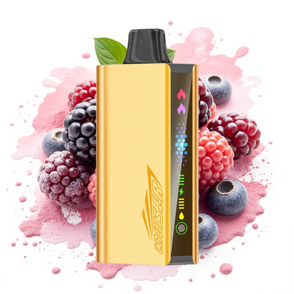 JNR Cruiser 12000 Puffs No-Charge 3500mAh 25ml Blackberry Ice