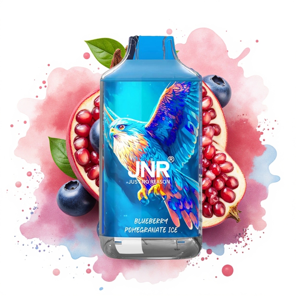 JNR Falcon 16000 Puffs 850mAh 22ml Dual Mesh Coil Blueberry Pomegranate Ice