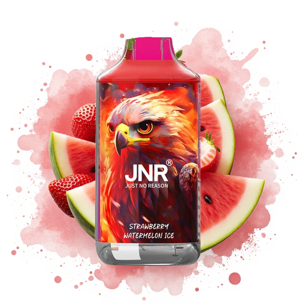 JNR Falcon 16000 Puffs 850mAh 22ml Dual Mesh Coil Strawberry Watermelon Ice