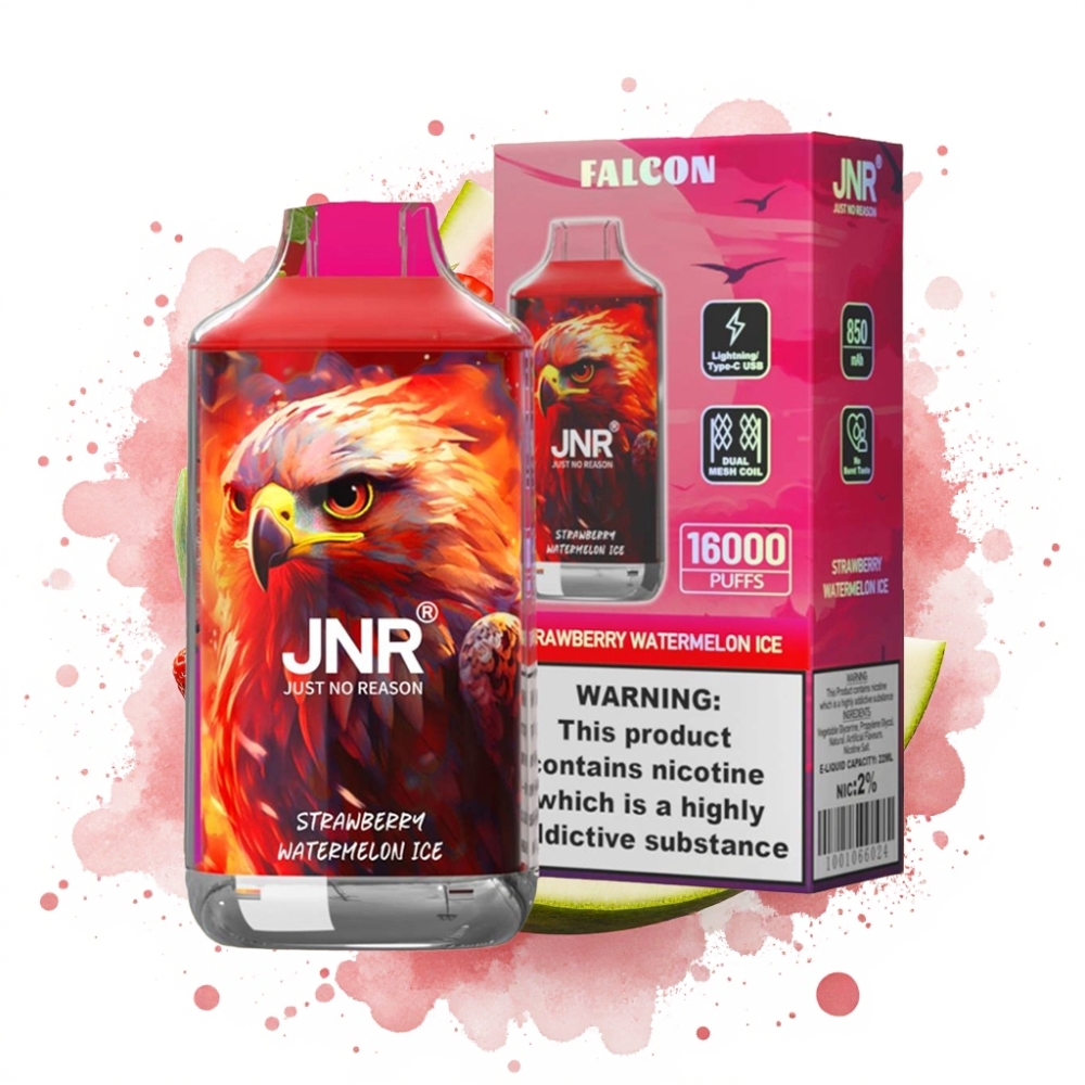 JNR Falcon 16000 Puffs 850mAh 22ml Dual Mesh Coil Strawberry Watermelon Ice