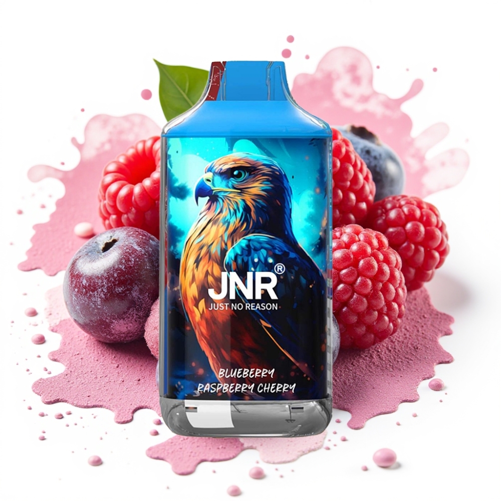 JNR Falcon 16000 Puffs Dual Mesh 22ml Blueberry Raspberry Cherry
