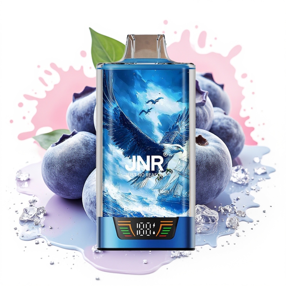JNR Falcon Pro 28000 30ml 5% Smart Display Dual Mesh Blueberry Ice