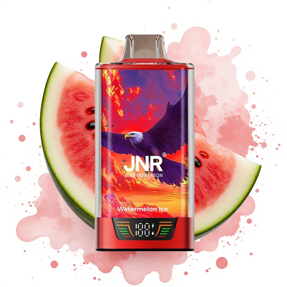 JNR Falcon Pro 28000 30ml 5% Smart Display Dual Mesh Watermelon Ice