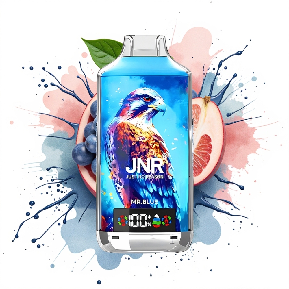 JNR Falcon X 18000 Puffs 24ml 750mAh Dual Mesh Coil Type-C Mr. Blue