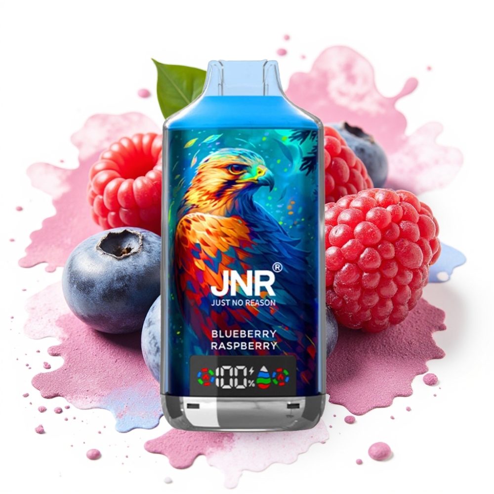 JNR Falcon X 18000 Puffs 750mAh 24ml Dual Mesh Coil Blueberry Raspberry