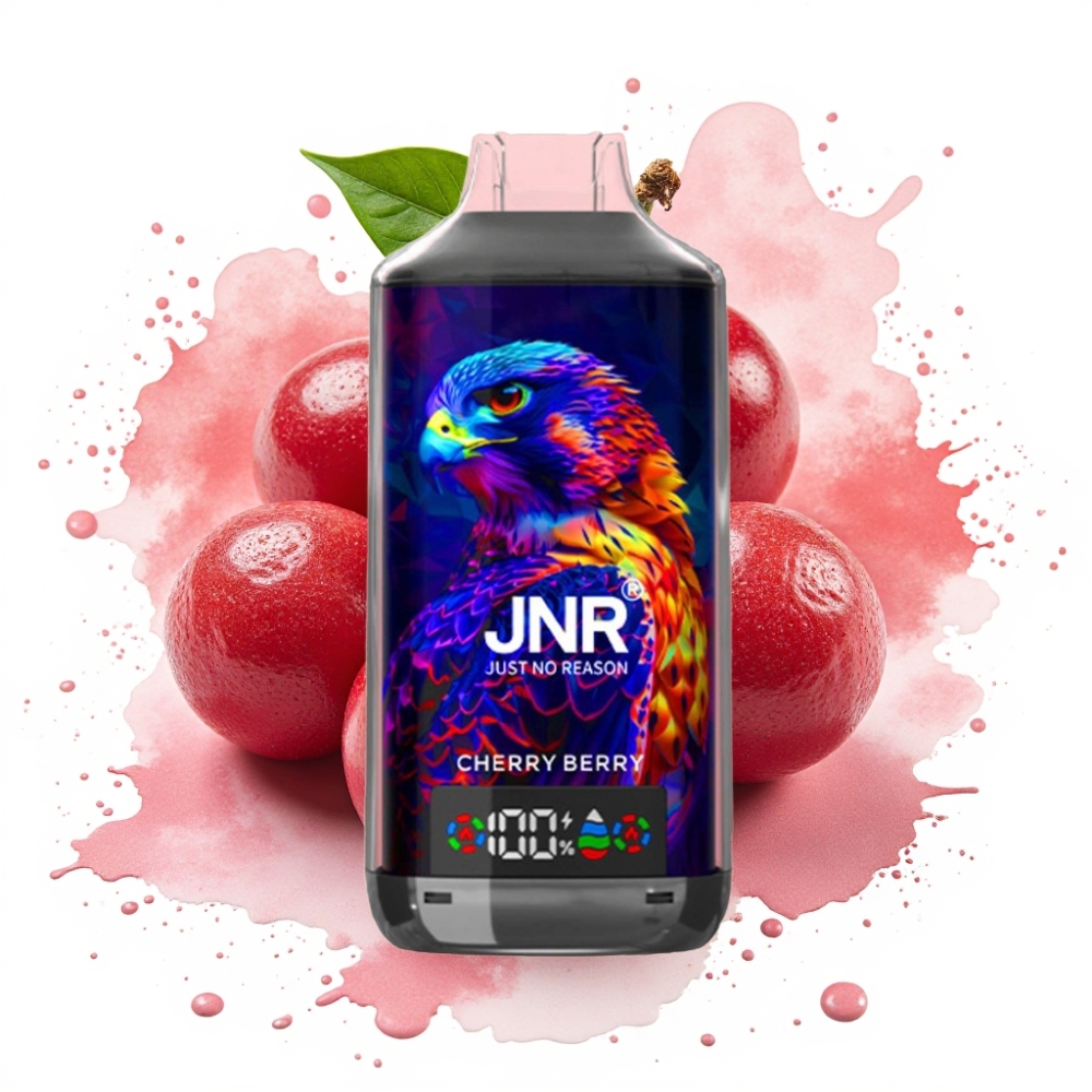 JNR Falcon X 18000 Puffs 750mAh 24ml Dual Mesh Coil Cherry Berry