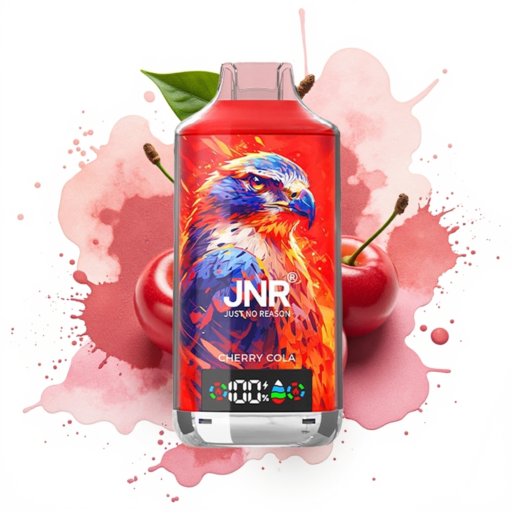 JNR Falcon X 18000 Puffs 750mAh 24ml Dual Mesh Coil Cherry Reason