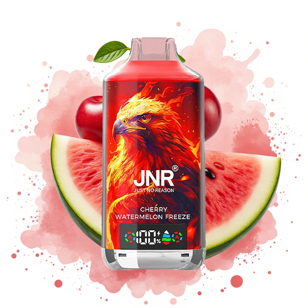 JNR Falcon X 18000 Puffs 750mAh 24ml Dual Mesh Coil Digital Display Type-C Cherry Watermelon Freeze