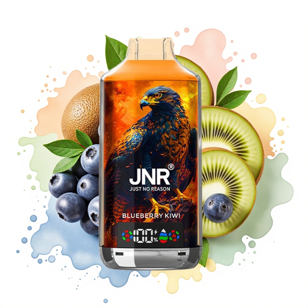 JNR Falcon X 18000 Puffs Dual Mesh Core 24ml Blueberry Kiwi