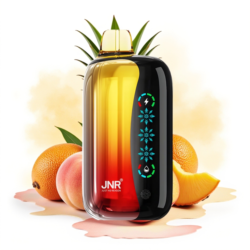 JNR Flex Ice 21000 Puffs 26ml Touch Screen Peach Mango Pineapple