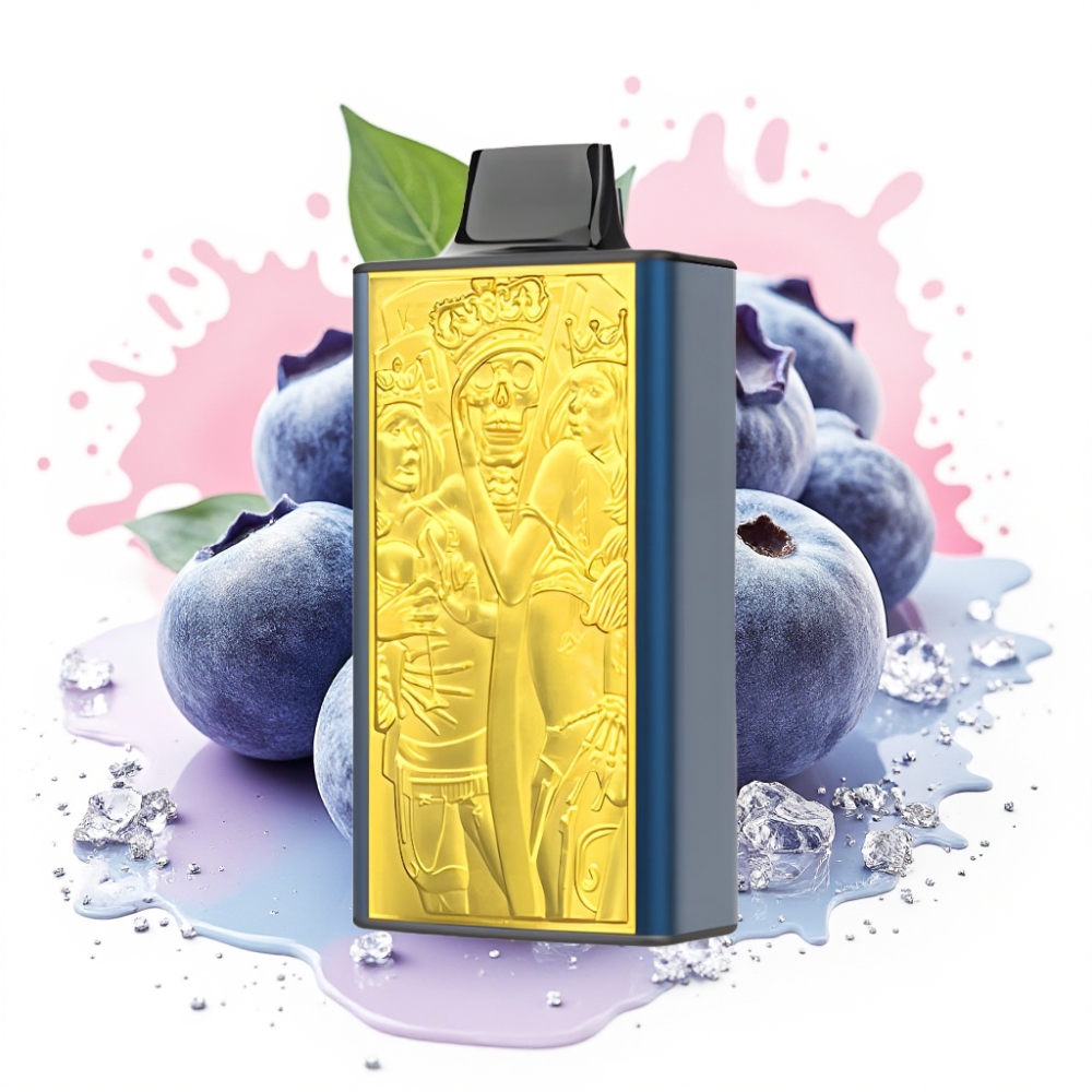 JNR Mega Box 25000 Puffs 30ml Dual Mesh Type-C Blueberry Ice