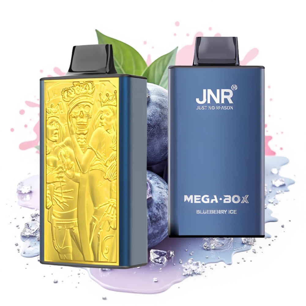 JNR Mega Box 25000 Puffs 30ml Dual Mesh Type-C Blueberry Ice