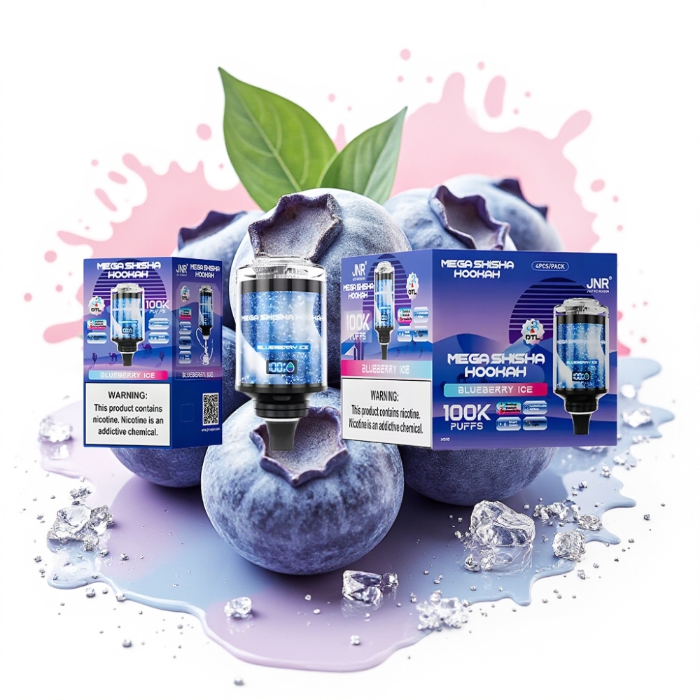 JNR Mega Shisha Hookah 100K Blueberry Ice 60ml Type-C 2200mAh