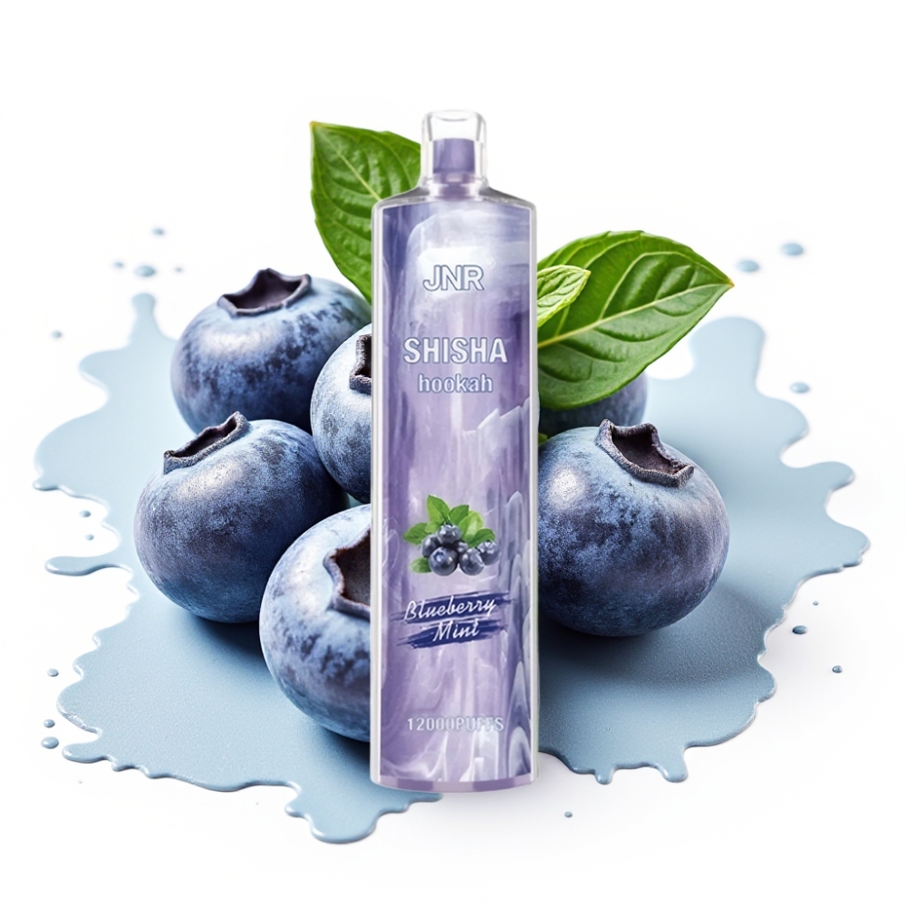 JNR Shisha Hookah 12000 Puffs 24ml 750mAh 0.6 Ohm Mesh Blueberry Mint