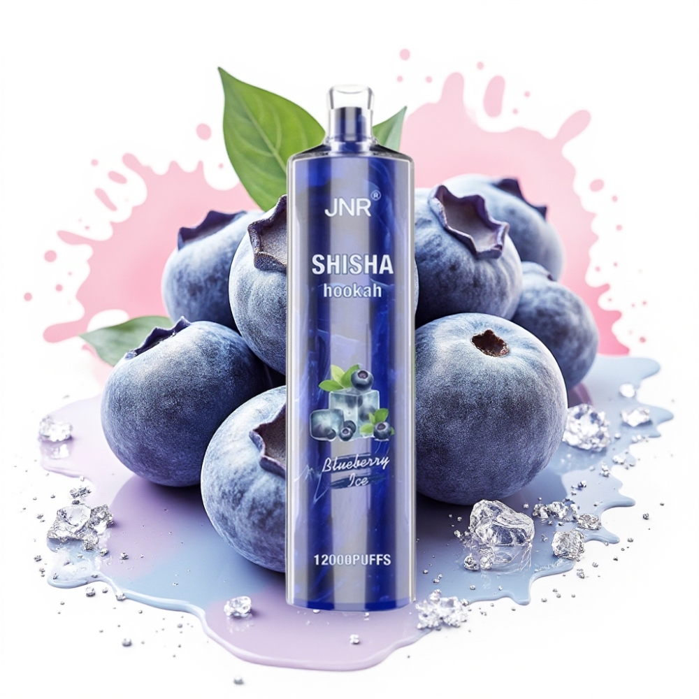 JNR Shisha Hookah 12000 Puffs 750mAh 24ml Blueberry Ice