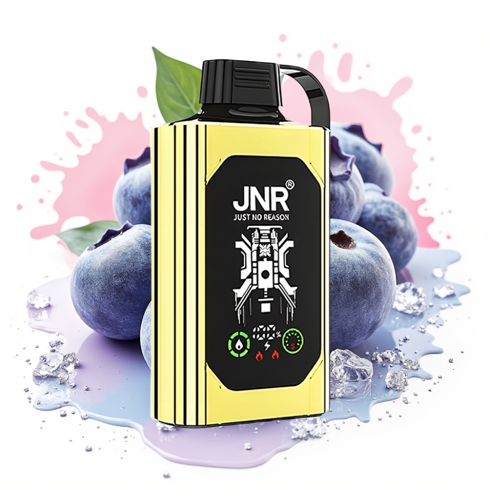 JNR Shisha Hookah Box 20500 Puffs HD Display 1000mAh 25ml Dual Mesh Coil Type-C Blueberry Ice