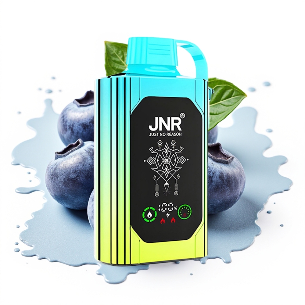 JNR Shisha Hookah Box 20500 Puffs HD Display 1000mAh Type-C Quick Charge Dual Mesh Coil Blueberry Mint